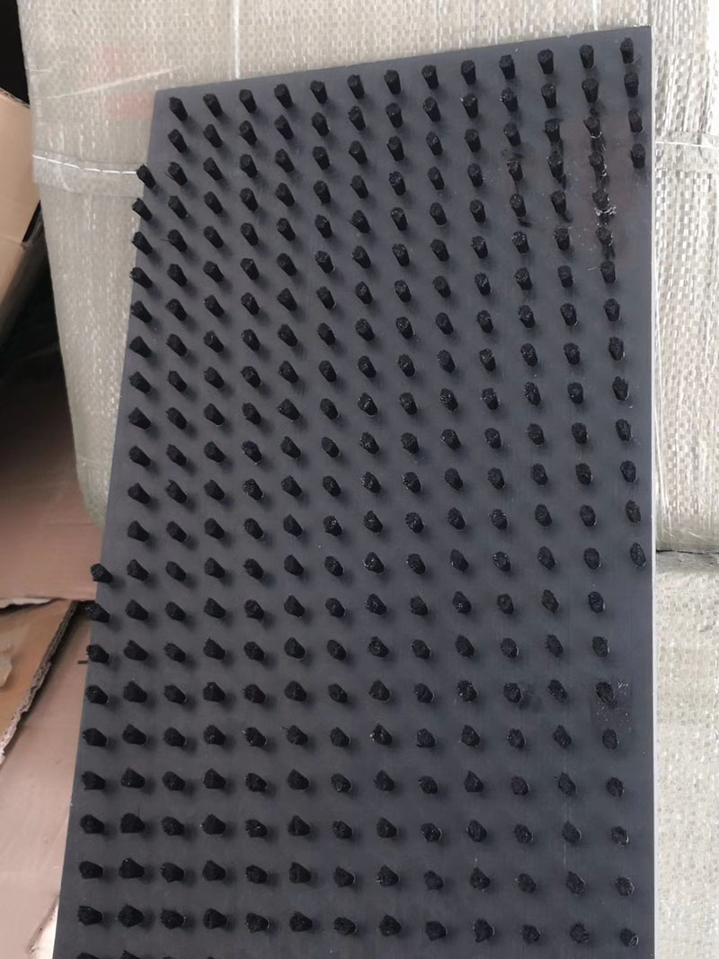 免费看片网站91板